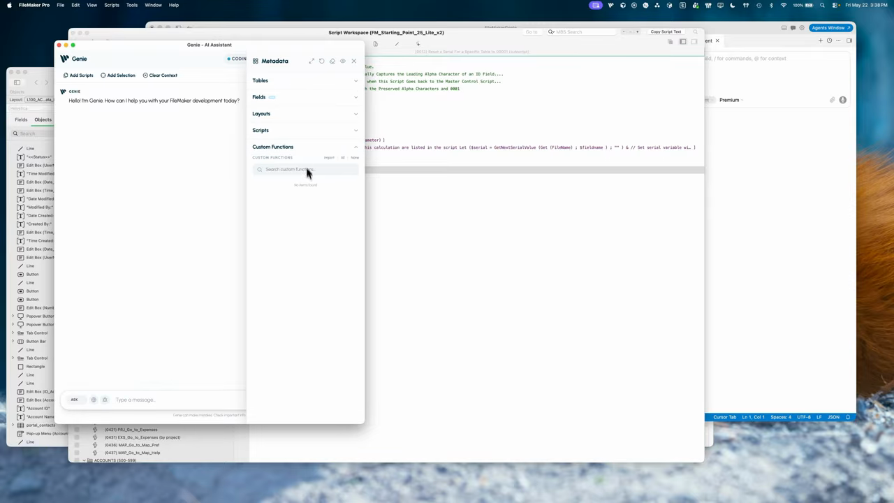 Custom functions panel inside the Metadata Explorer